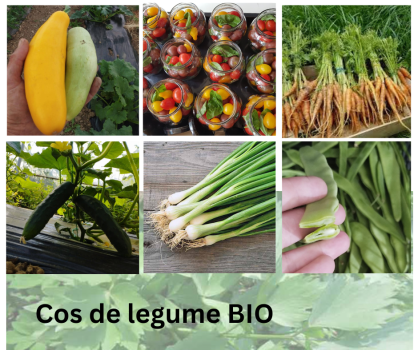 *Cos de legume certificate ECO, aprox 5.5 KG + ROSII